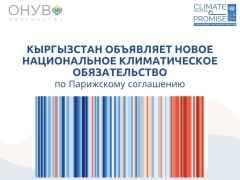 Что такое ОНУВ?